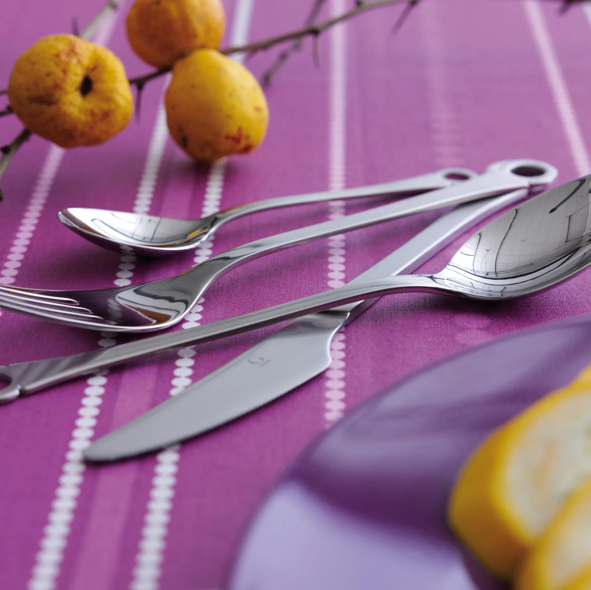 Pantry 餐具 cutlery 16 pieces, 不锈钢 Gense