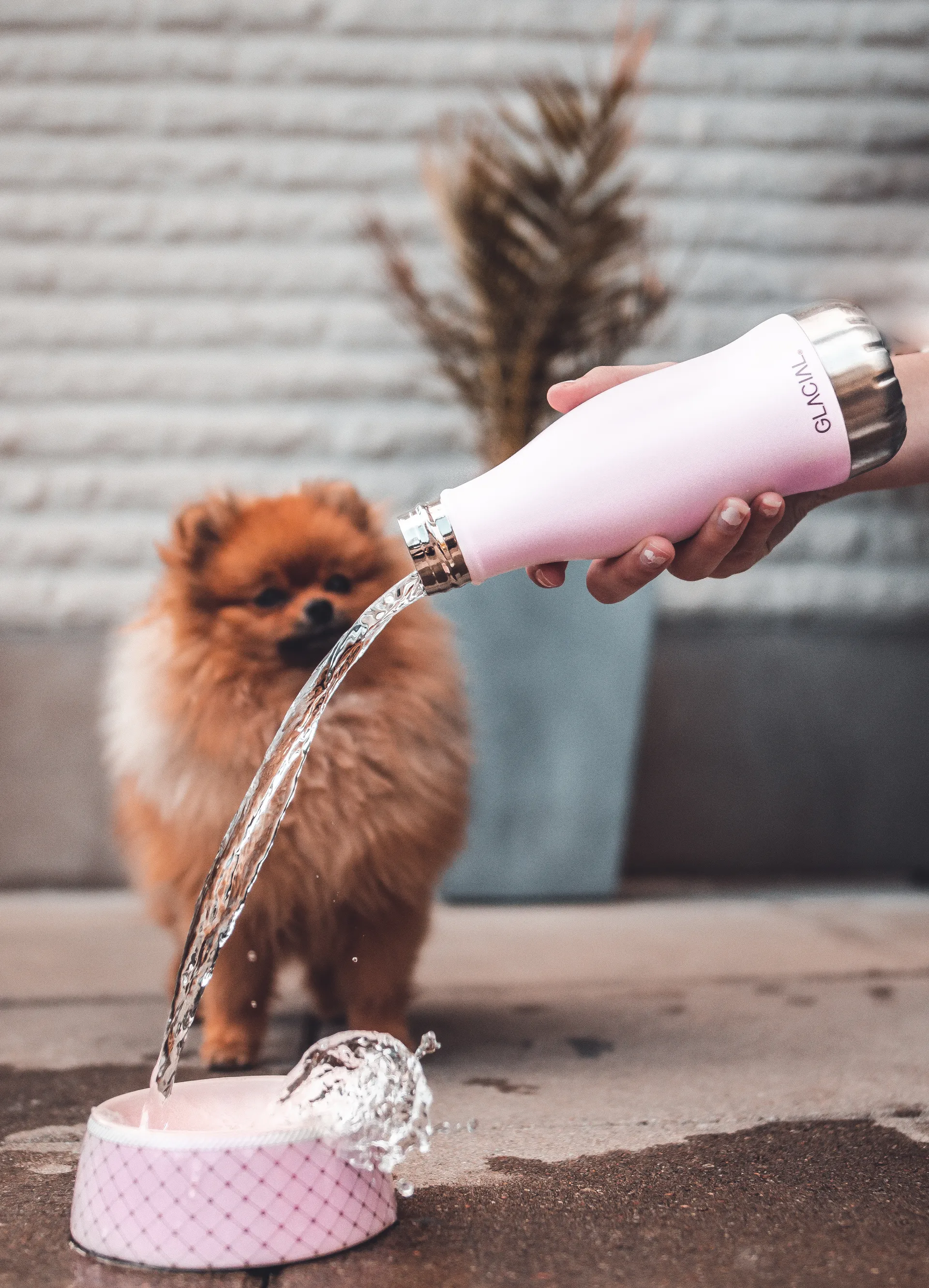 Glacial 水瓶 280 ml, 哑光 粉色 powder Glacial