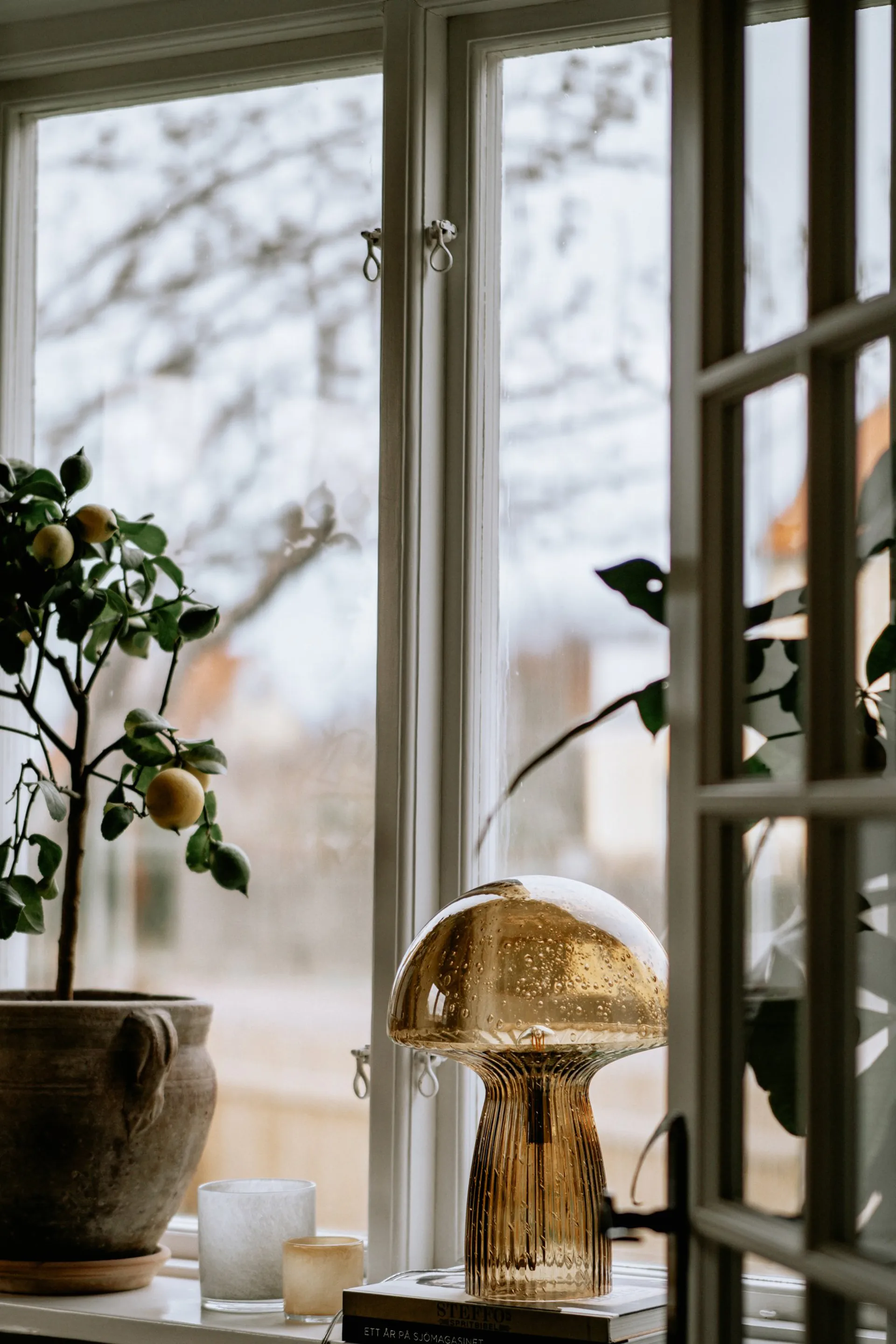 Fungo 台灯 Special Edition brown, 42 cm Globen Lighting