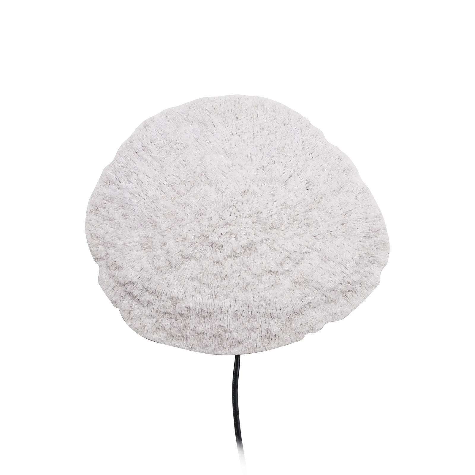 Nemo 壁灯 white,  Globen Lighting
