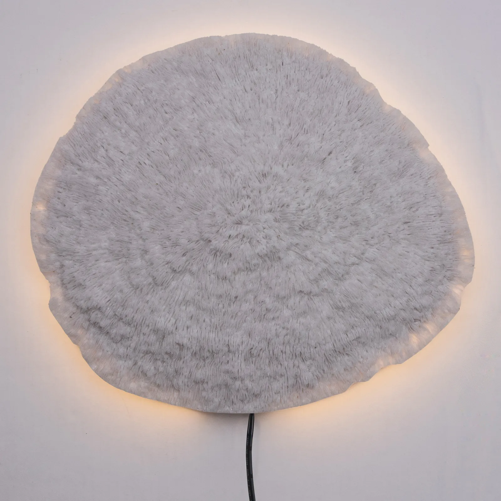 Nemo 壁灯 white,  Globen Lighting