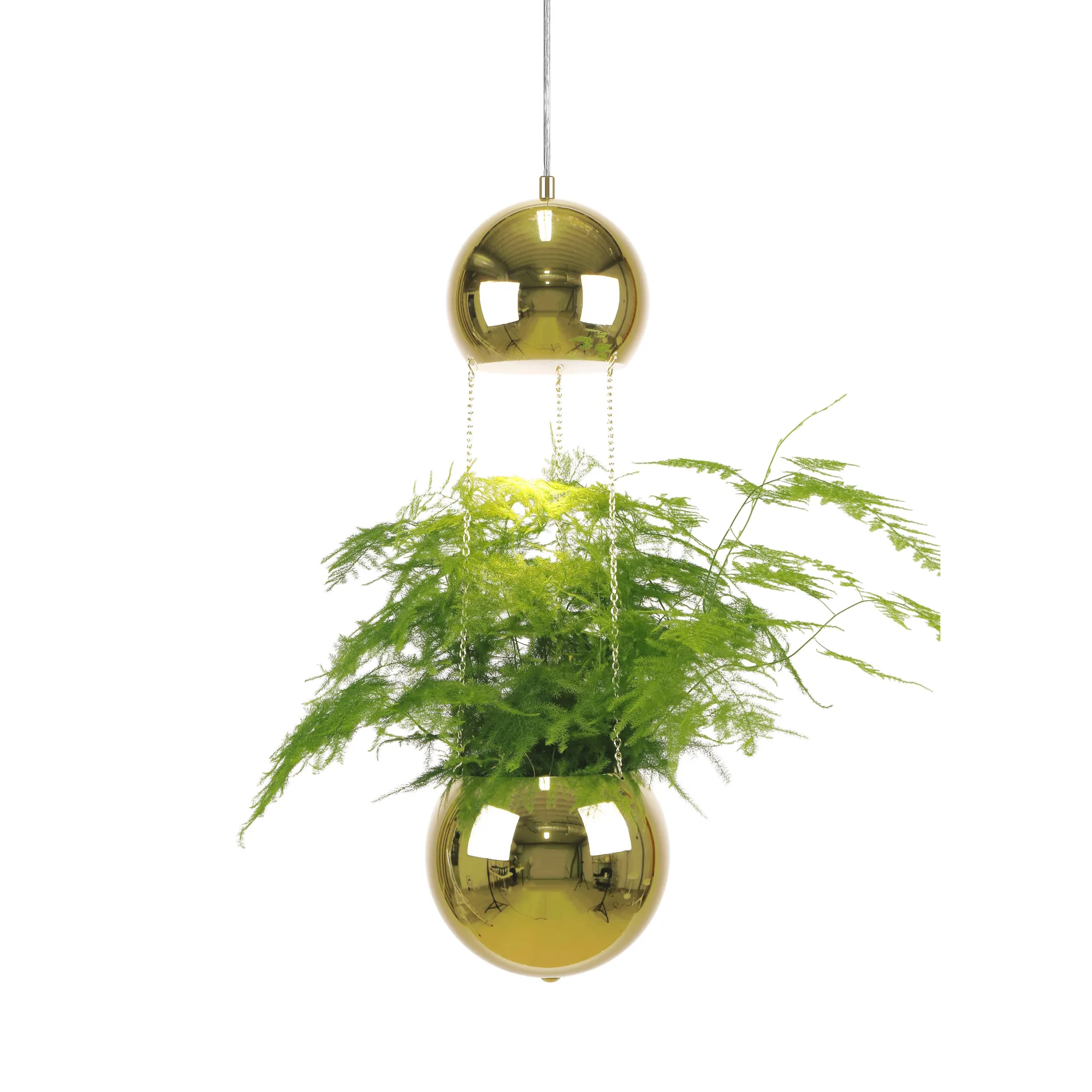 带花盆的Planter吸顶灯, 黄铜色 Globen Lighting