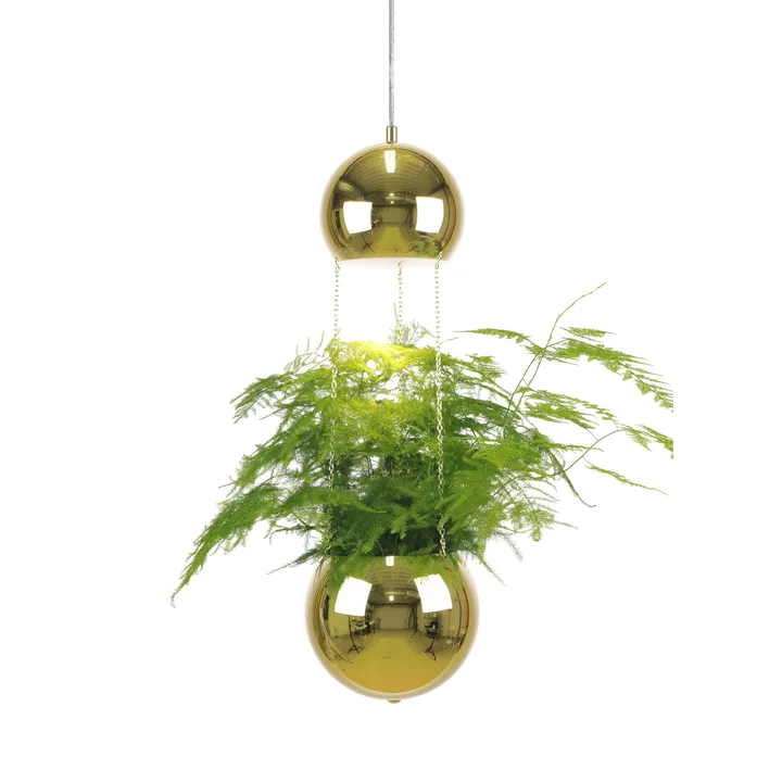 带花盆的Planter吸顶灯 - 黄铜色 - Globen Lighting