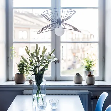 Ray吸顶灯 Ø45cm - 哑光黑 - Globen Lighting