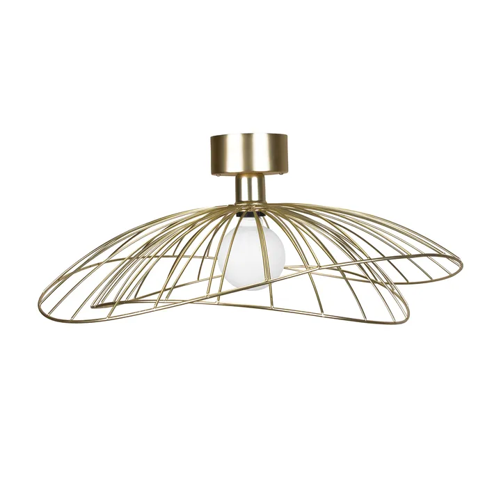 Ray系列吸顶灯 - brushed brass - Globen Lighting