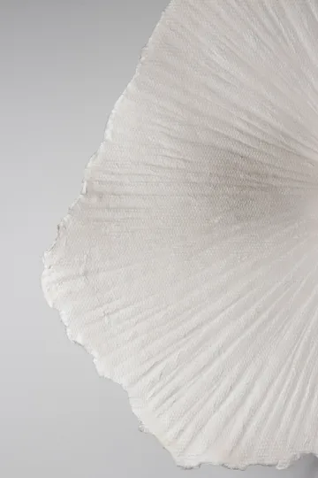 Tropez吸顶灯/壁灯 Ø60cm - 自然色 - Globen Lighting