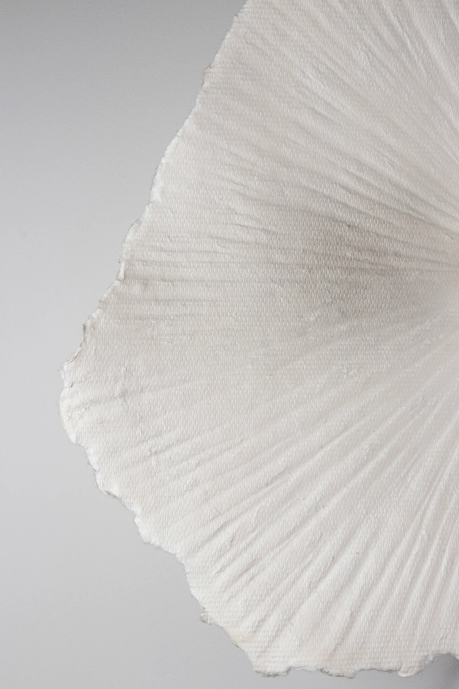 Tropez ceiling 灯/wall 灯 Ø60 cm, Nature Globen Lighting