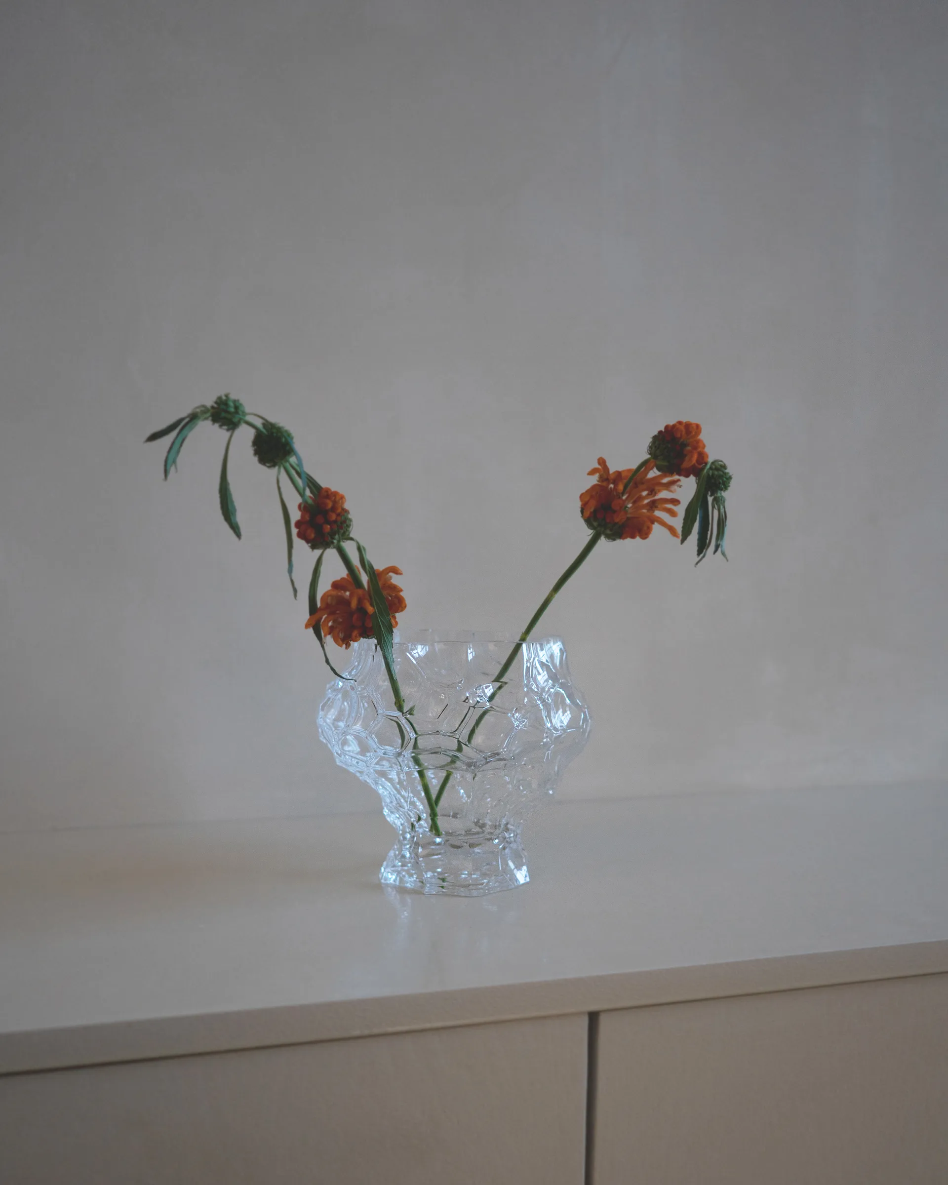 Canyon 冰川花瓶 中 18cm, 透明 Hein Studio