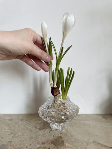 Canyon 冰川花瓶 迷你 8cm - 迷你 8cm_透明 - Hein Studio