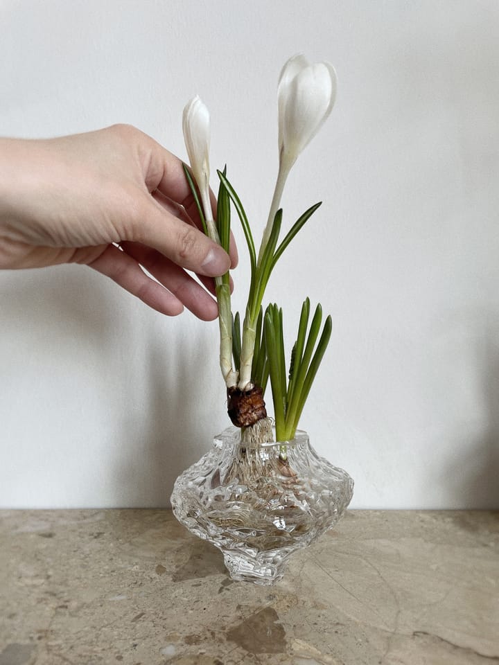Canyon 冰川花瓶 迷你 8cm, 迷你 8cm_透明 Hein Studio