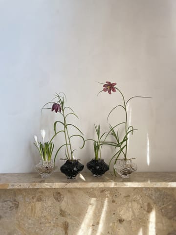 Canyon 冰川花瓶 迷你 8cm - 迷你 8cm_透明 - Hein Studio