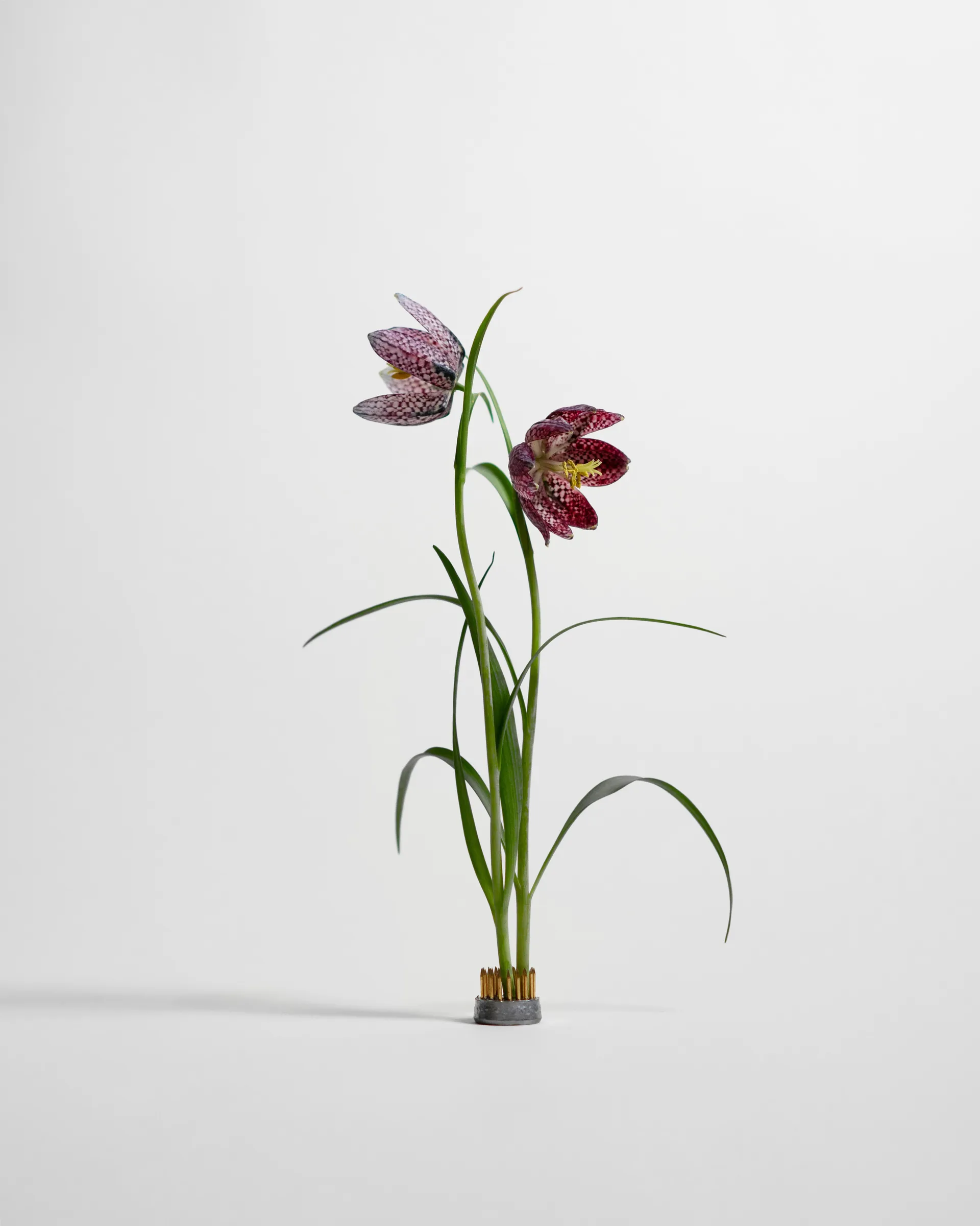 Kenzan 花瓶, Ø2.3 cm Hein Studio