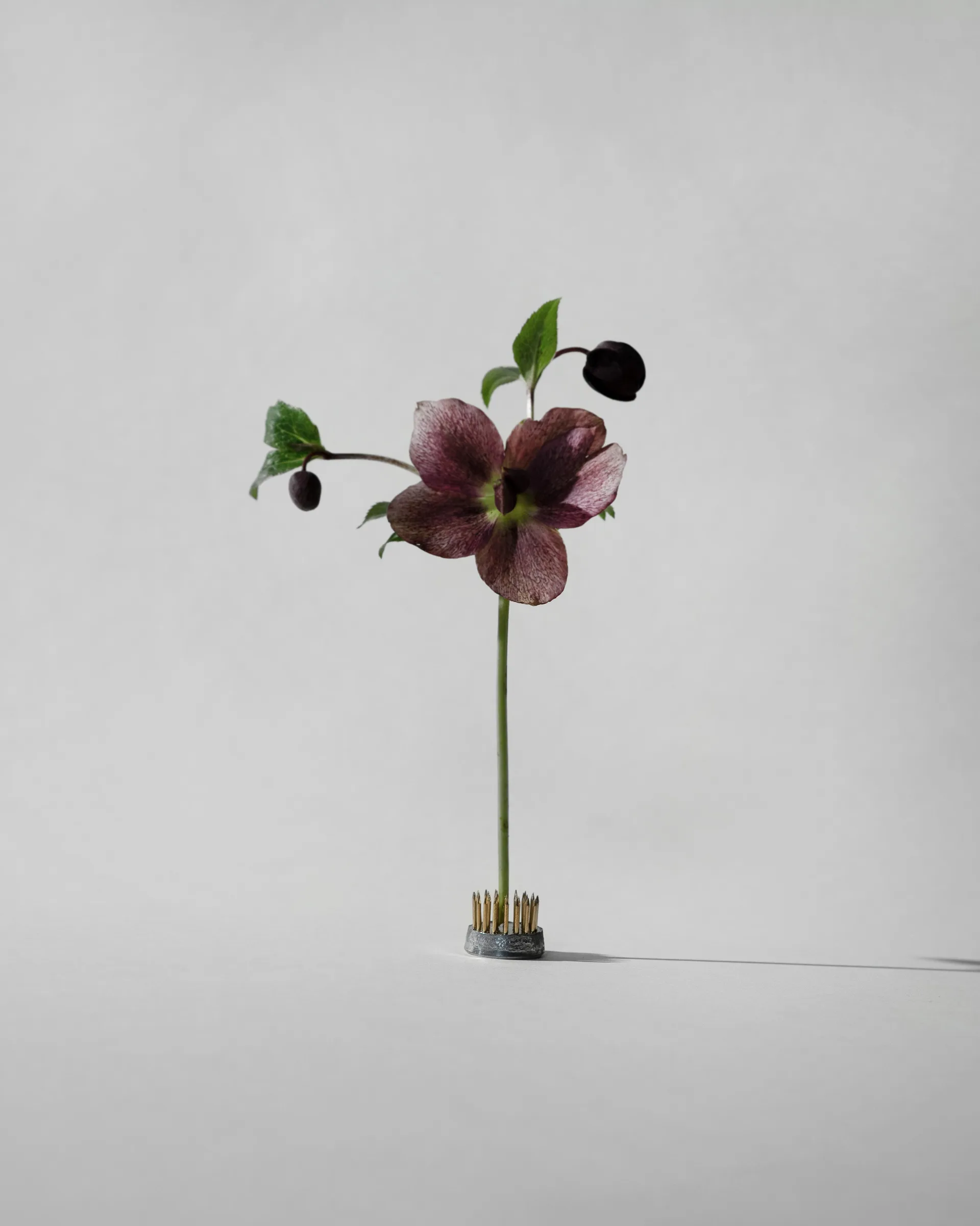 Kenzan 花瓶, Ø2.3cm Hein Studio