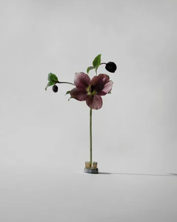Kenzan 花瓶 - Ø2.3cm - Hein Studio