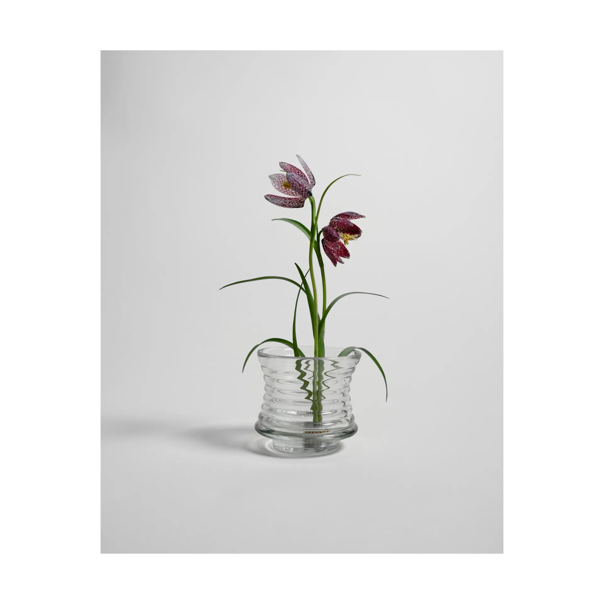 Kenzan 花瓶, Ø6cm Hein Studio