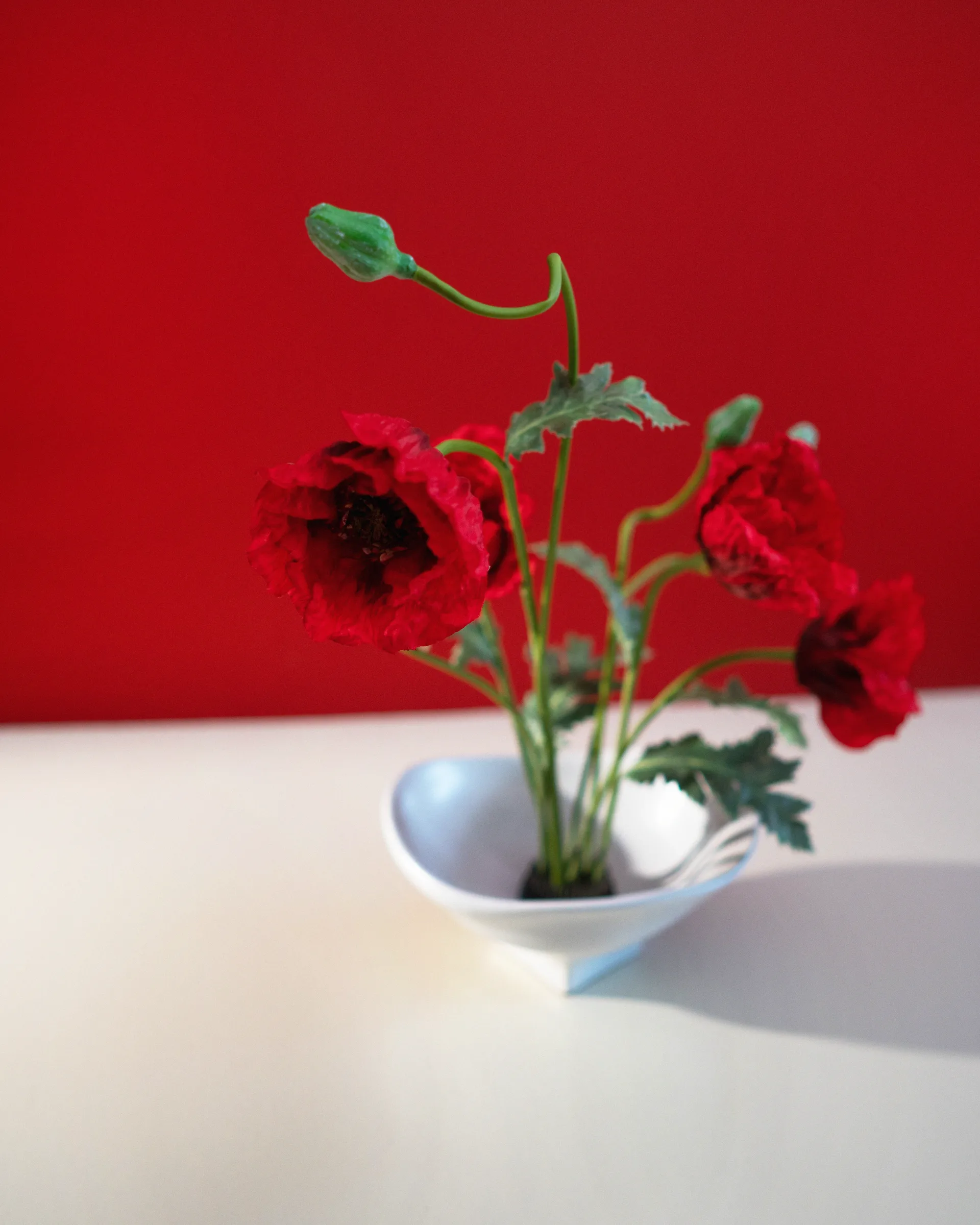 Nami 碗 大 20x23 cm, 白色 Hein Studio