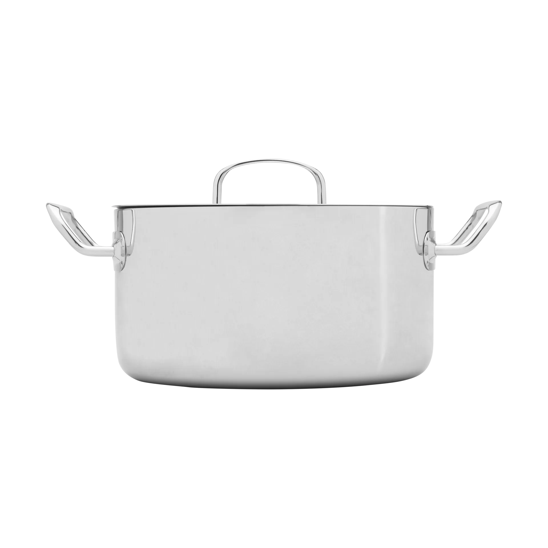 Heirol Steely Classic Triply三层复合底炖锅带盖5.5升, 不锈钢 Heirol