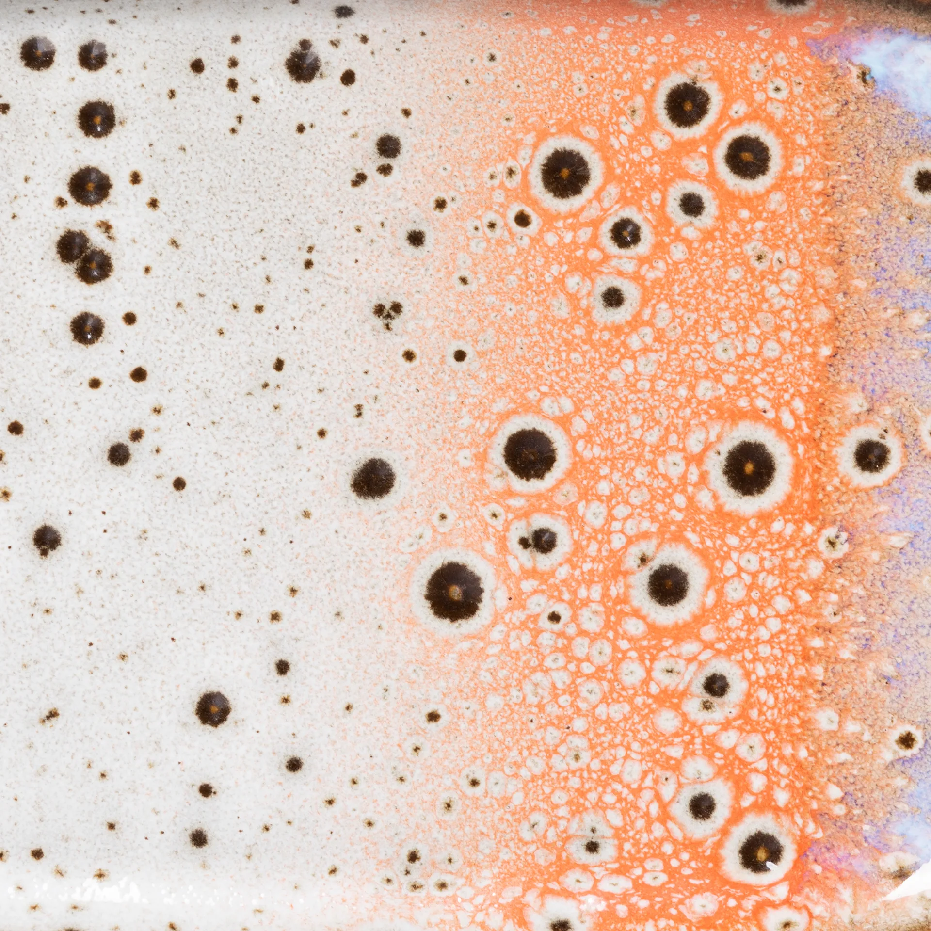 70's 托盘 小 两件套装, Asteroids / Grass HKliving