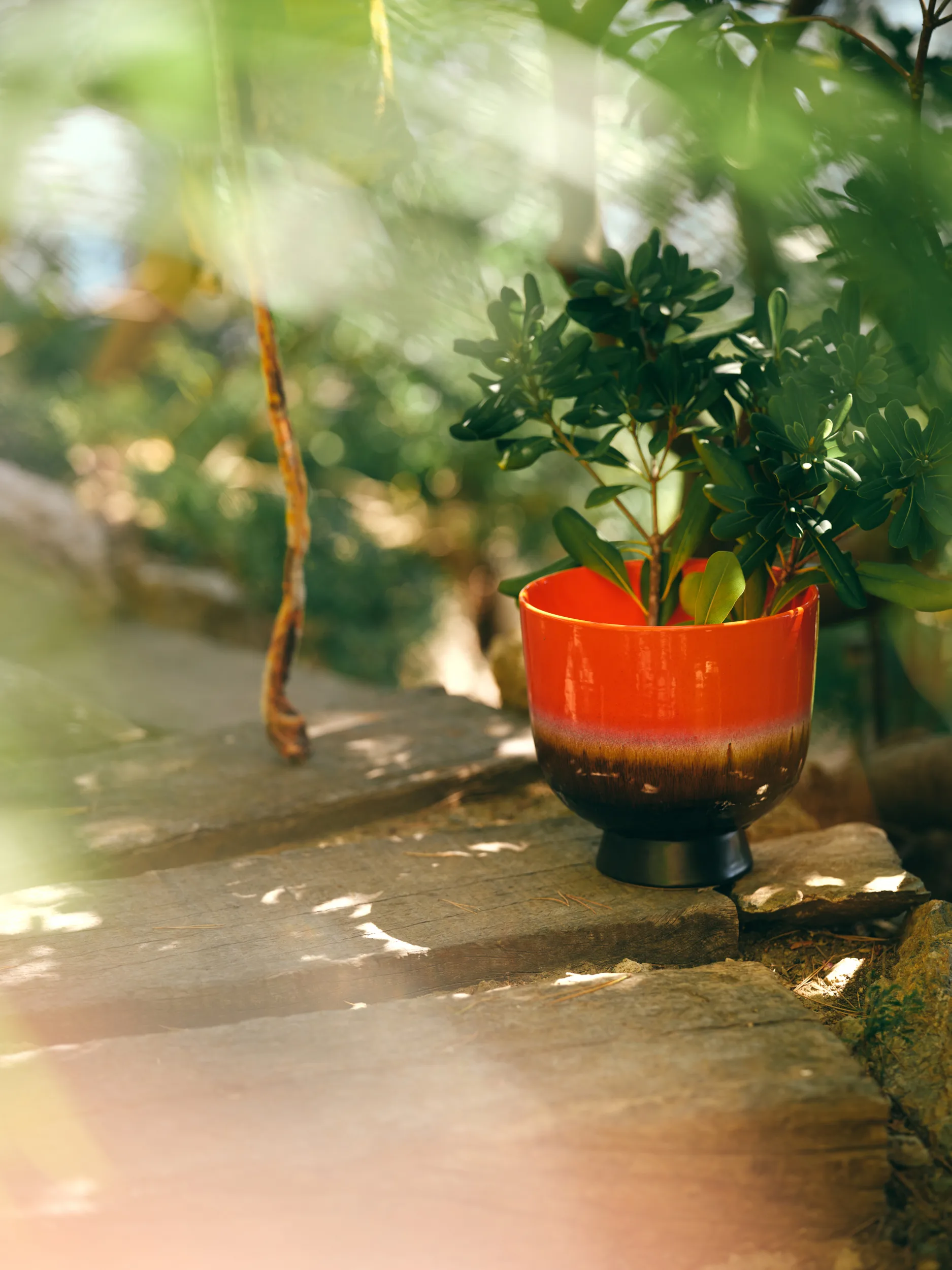 Retro 花盆 Ø20.5 cm, Cherry 红色 HKliving