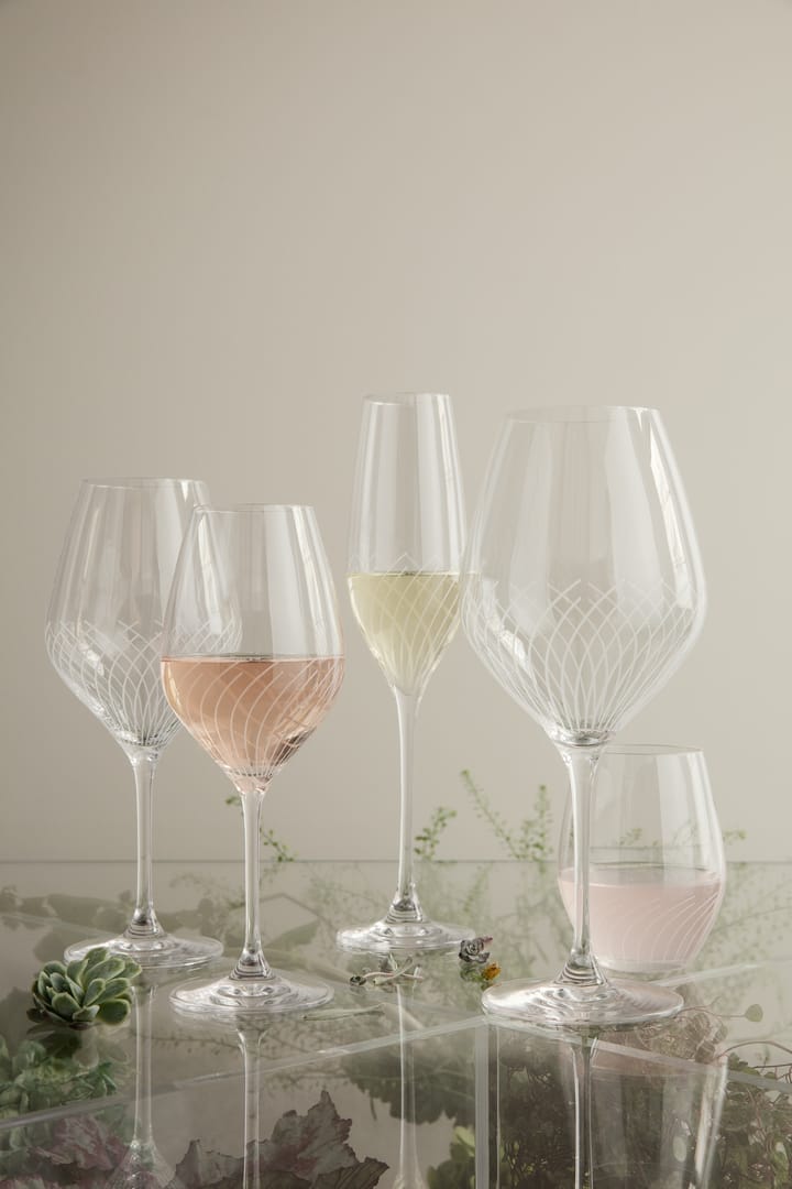 Cabernet Lines 水杯 25 cl 两件套装, Clear Holmegaard