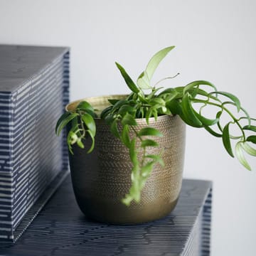 Chappra 花盆  Ø9.5 cm - antique brass - House Doctor