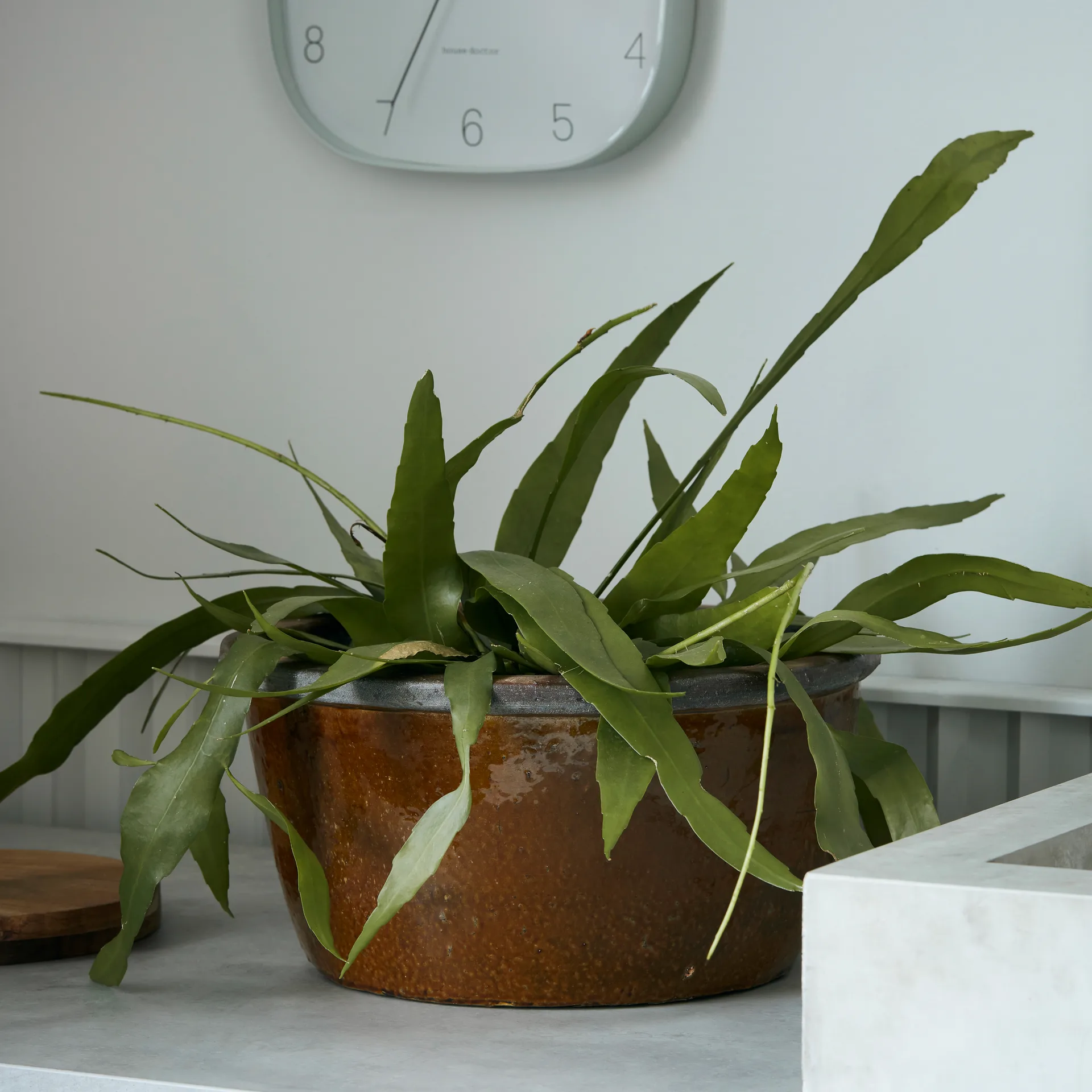 Whai 花盆  Ø37 cm, mustard 黄色 House Doctor