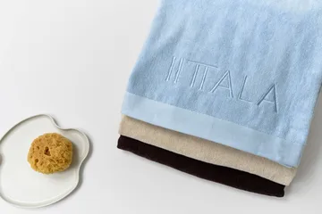 Aalto dekorationsbricka - Iittala