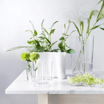 Aalto duo 湖泊系列 花瓶 - 透明 - Iittala