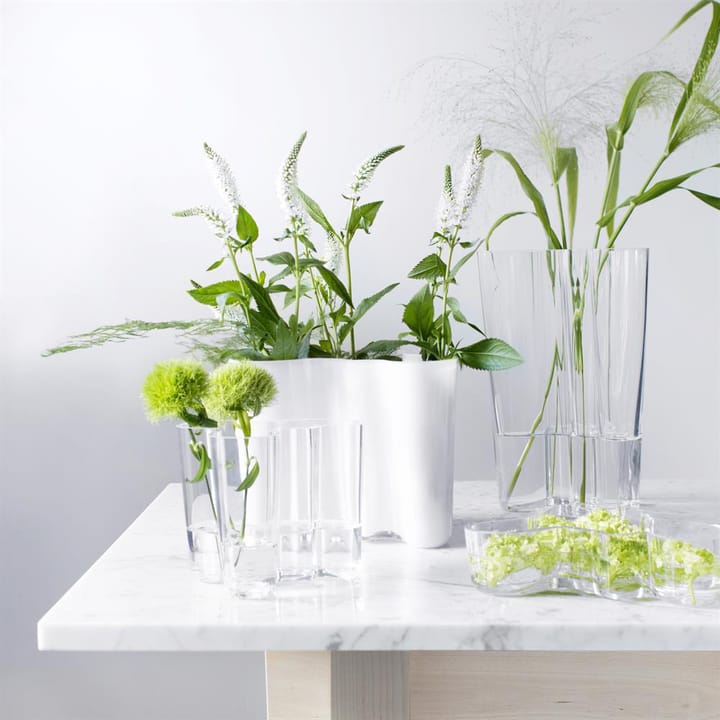 Aalto duo 湖泊系列 花瓶 - 透明 - Iittala