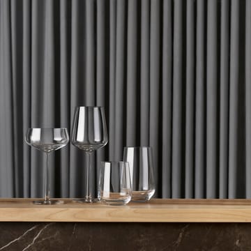 Essence 鸡尾酒杯 两件套装 - 31 cl - Iittala