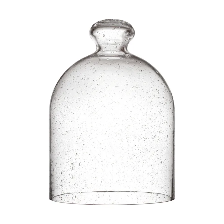 Iittala glasdome 160x220 mm - Iittala