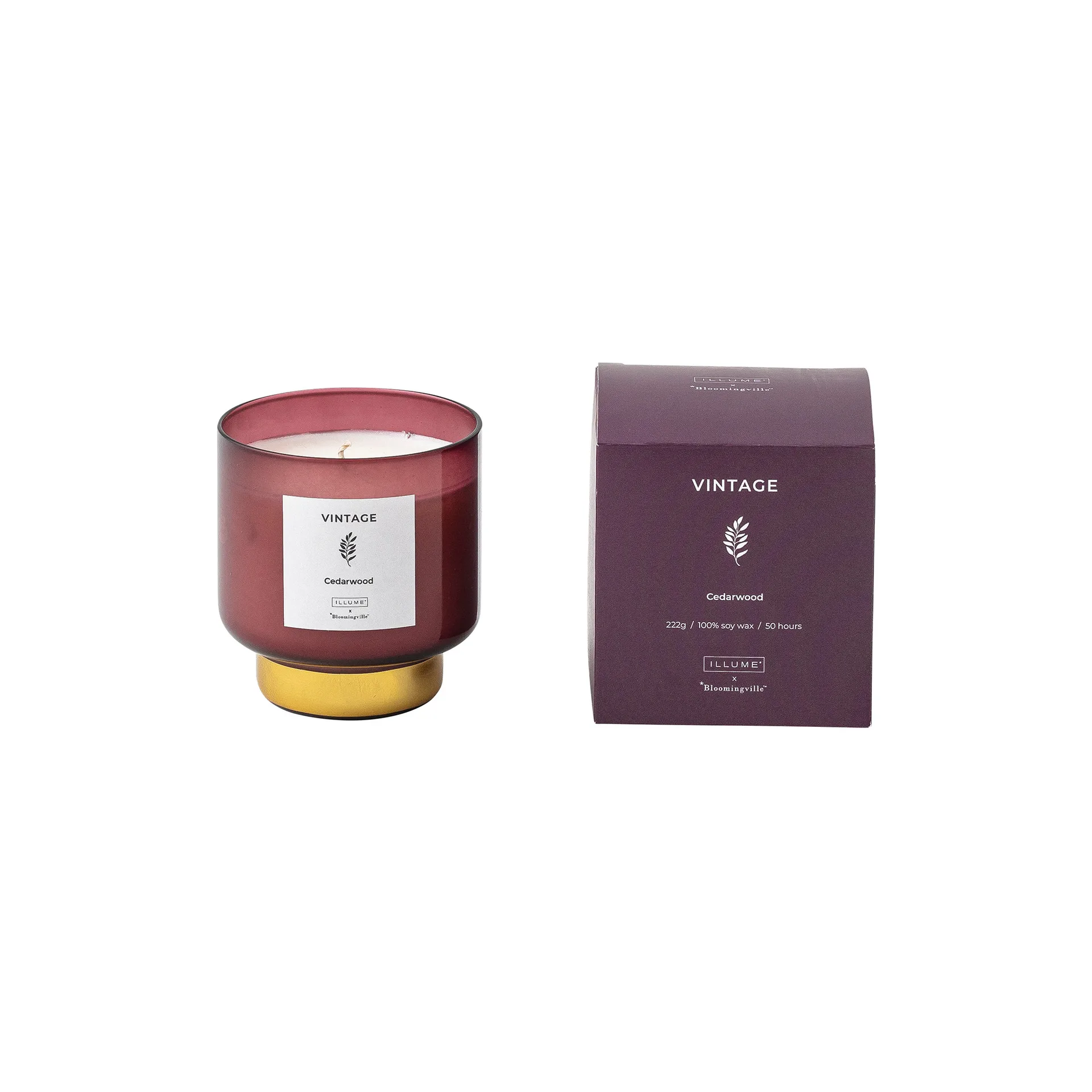 Vintage Cedarwood scented candle, 222 g Illume x Bloomingville