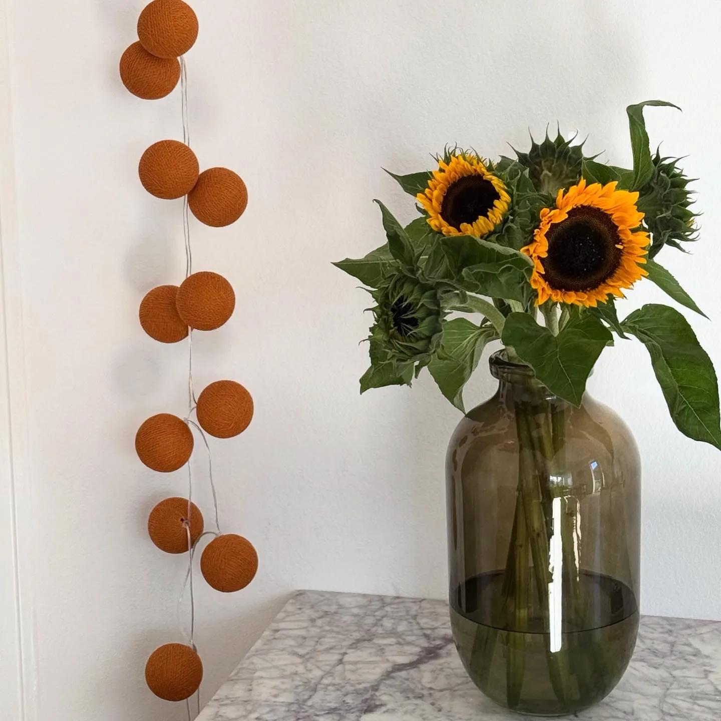 Irislights 串灯, 赤陶色,20灯球 Irislights