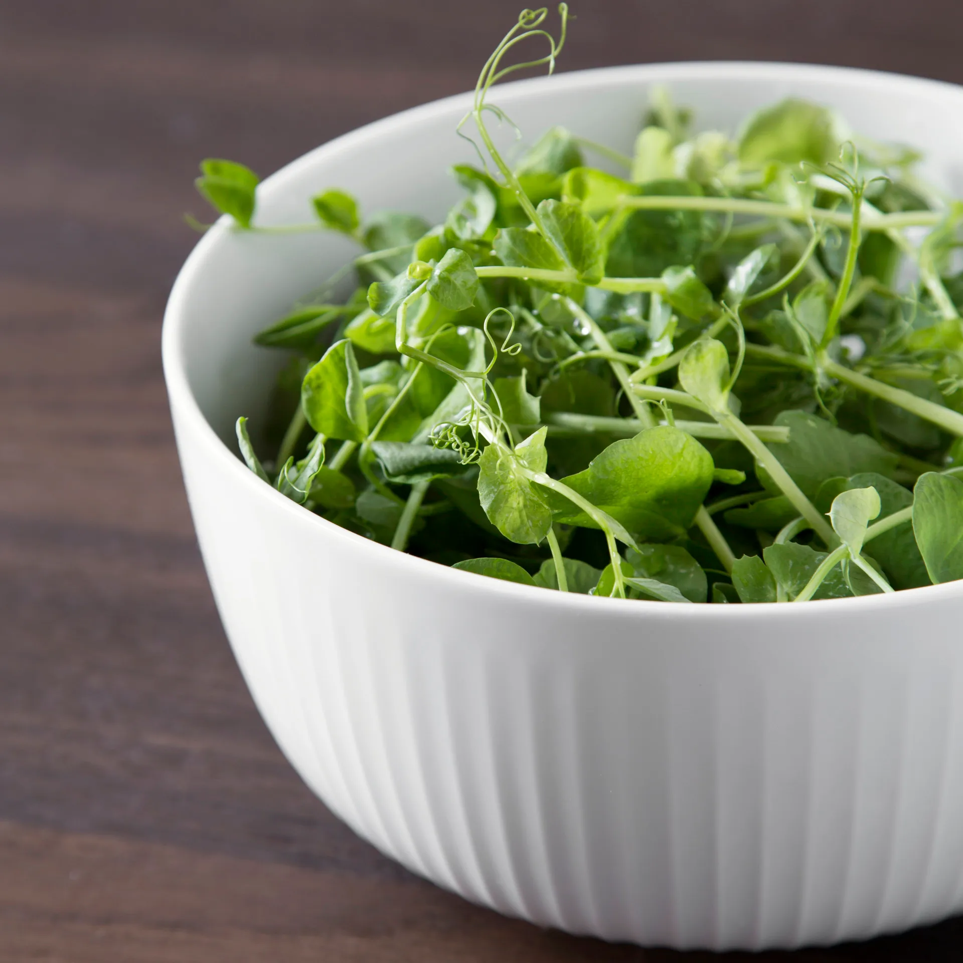 Hammershøi 碗  Ø21 cm, 白色 Kähler