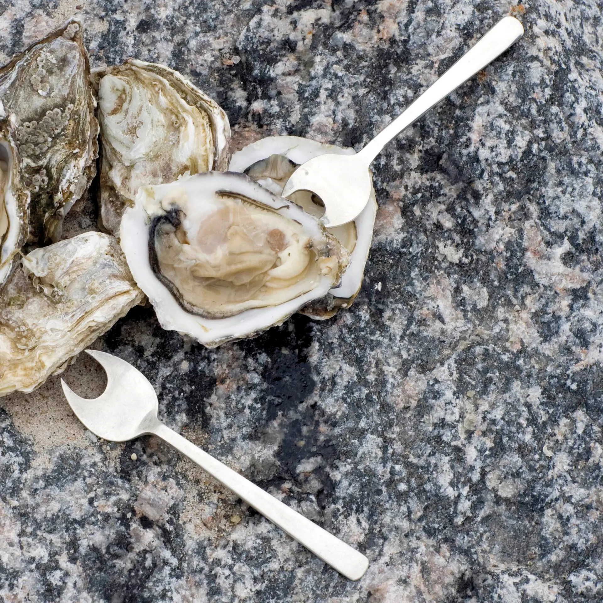 Grand Prix 海鲜 刀叉勺 8件, Matte steel Kay Bojesen