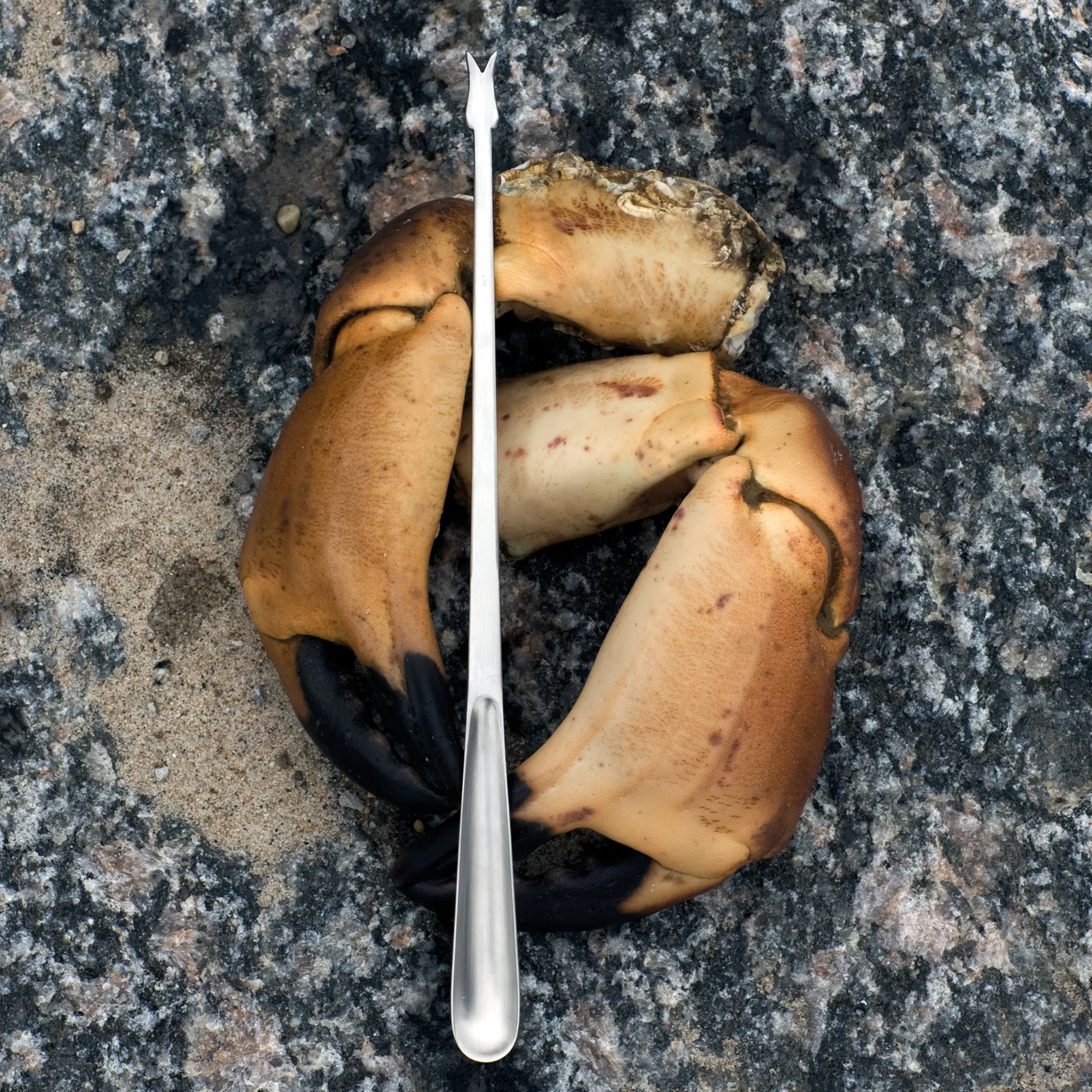 Grand Prix 海鲜 刀叉勺 8件, Polished steel Kay Bojesen