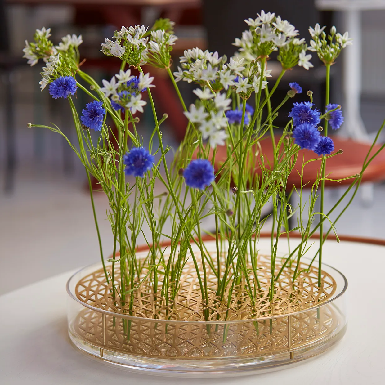 Äng  花瓶 , mega, brass KLONG