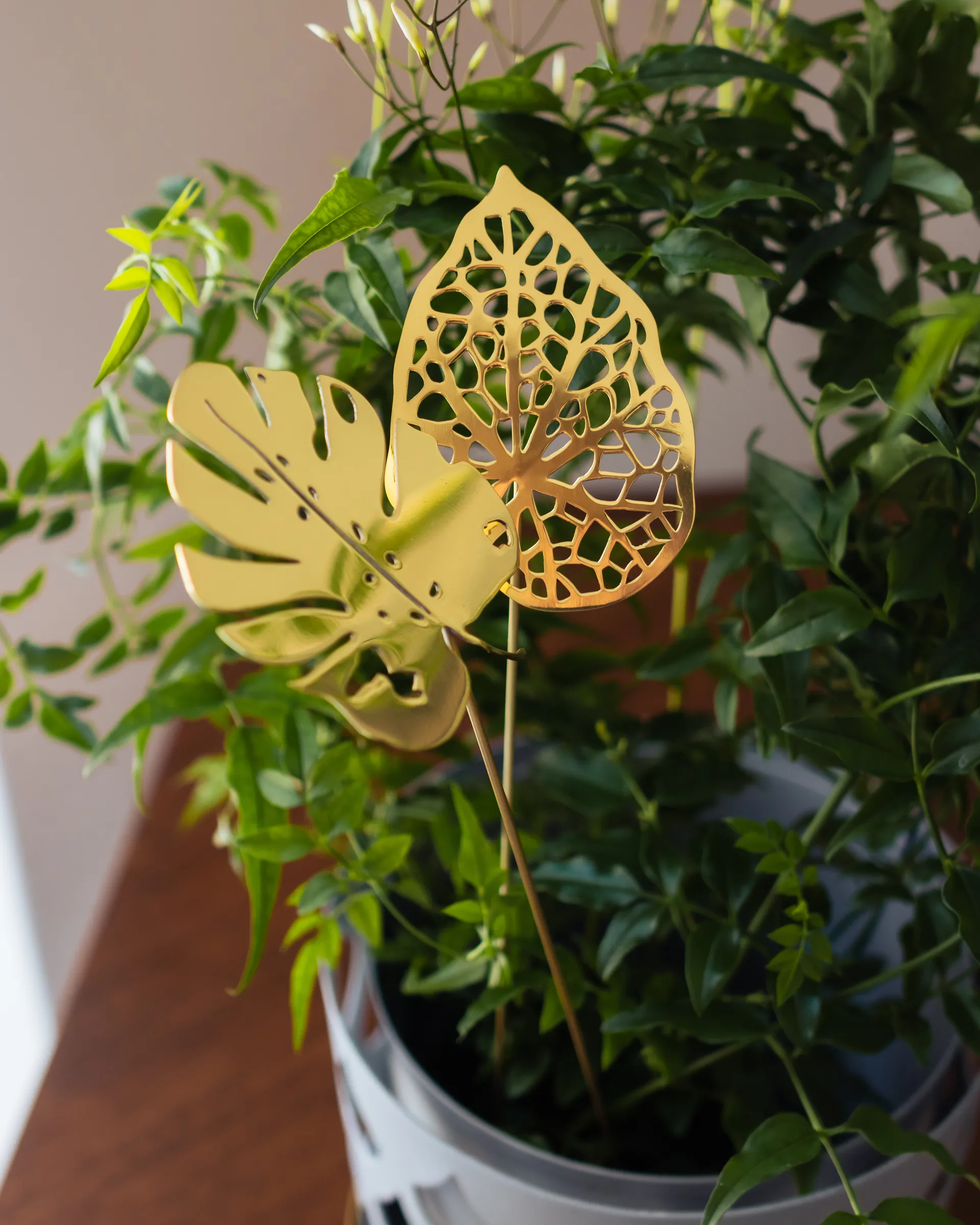 Brass leaves 装饰 两件套装, Water KLONG