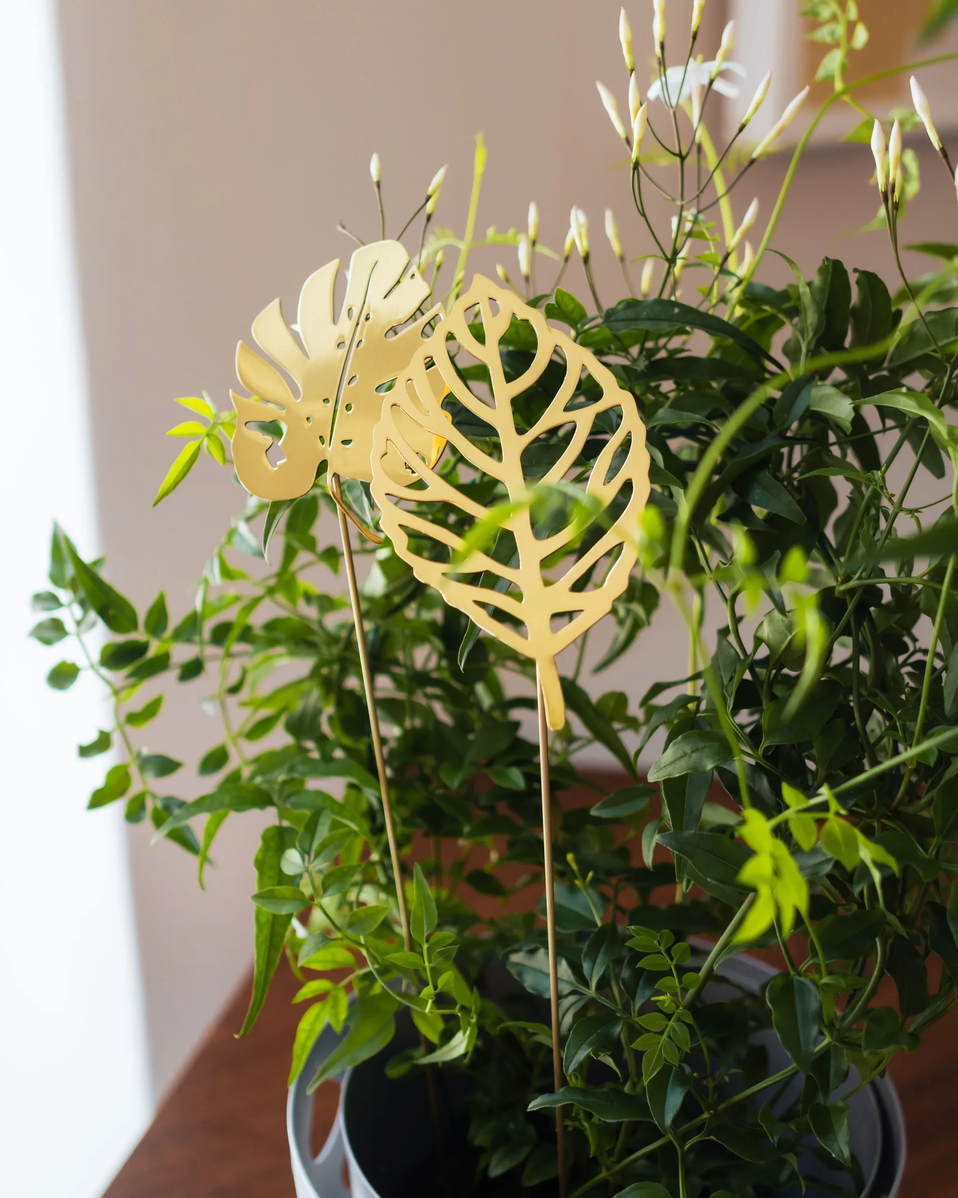 Brass leaves 装饰 两件套装, Wood KLONG