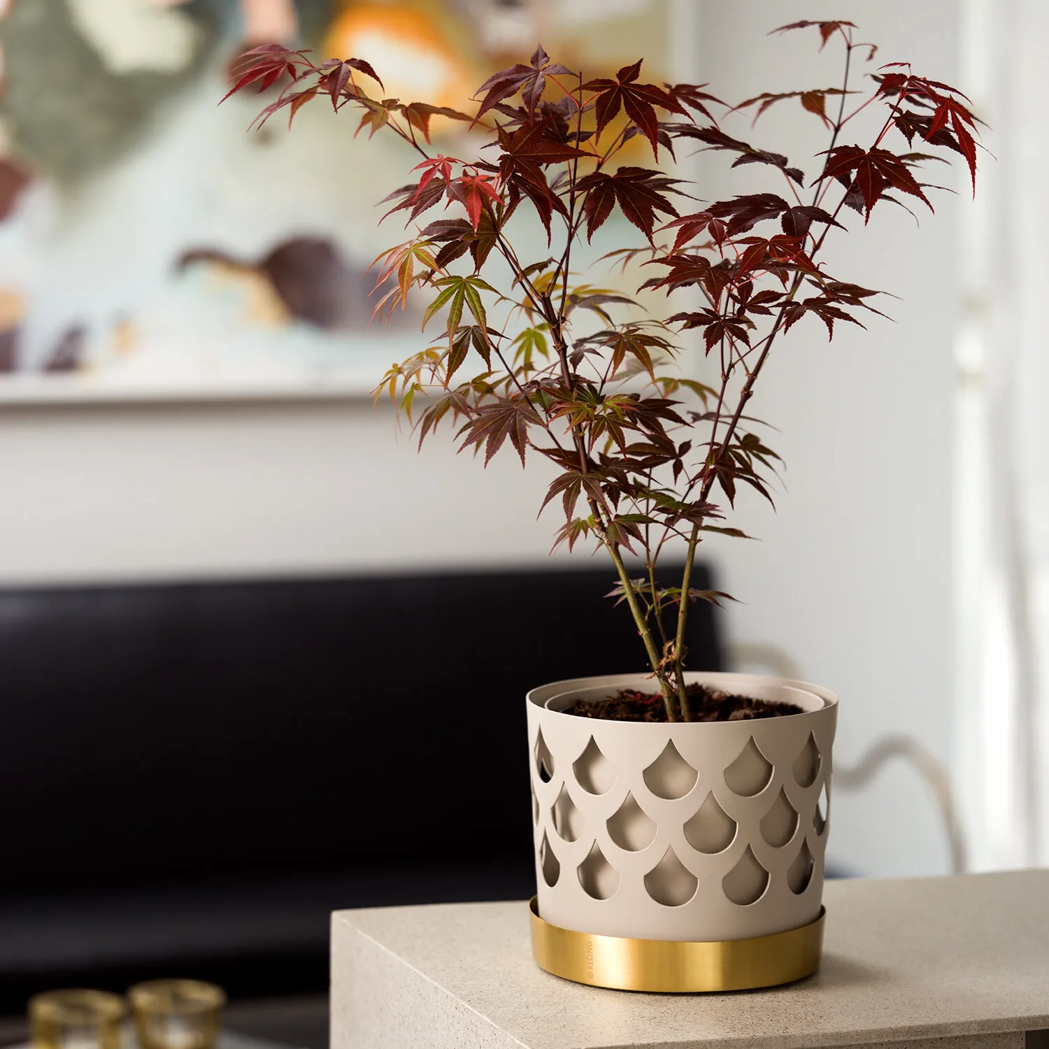Trio Drop 米色花盆 带黄铜碟, 中号_Ø18cm KLONG