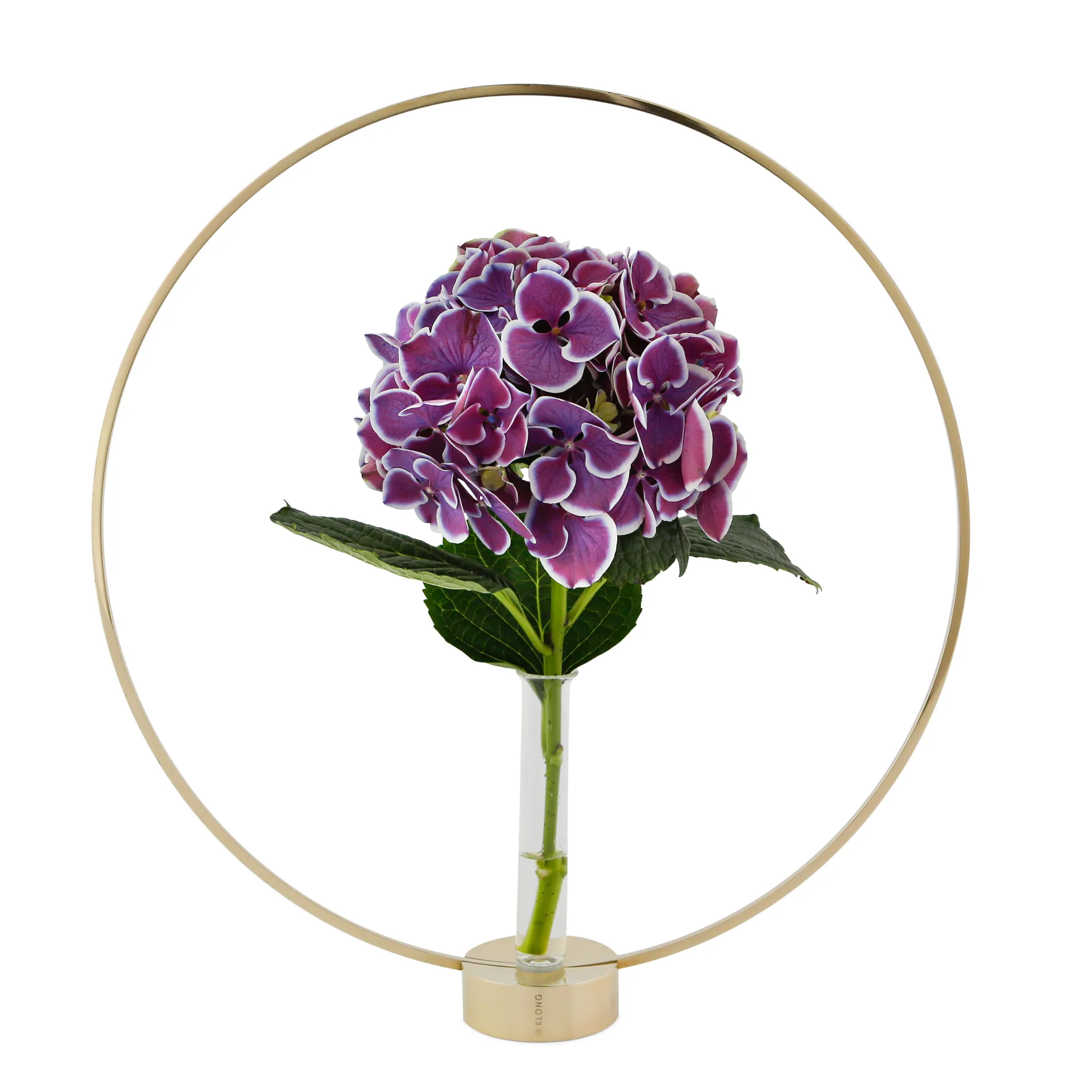 Vesper 玻璃内芯, 花系列_花瓶 KLONG