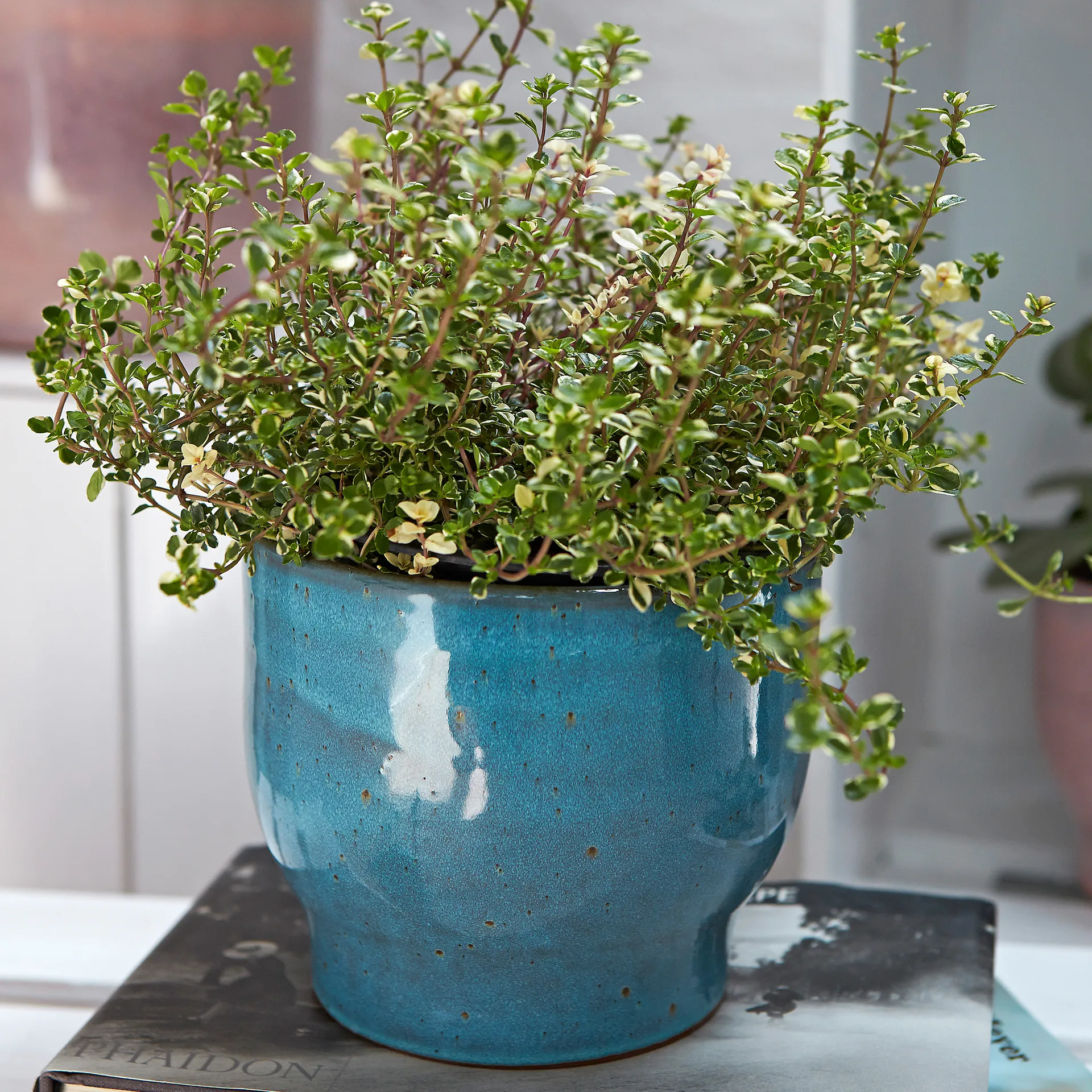 Knabstrup 户外花盆 Ø16.5cm, 灰蓝色 Knabstrup Keramik