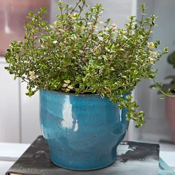 Knabstrup 户外花盆 Ø16.5cm - 灰蓝色 - Knabstrup Keramik