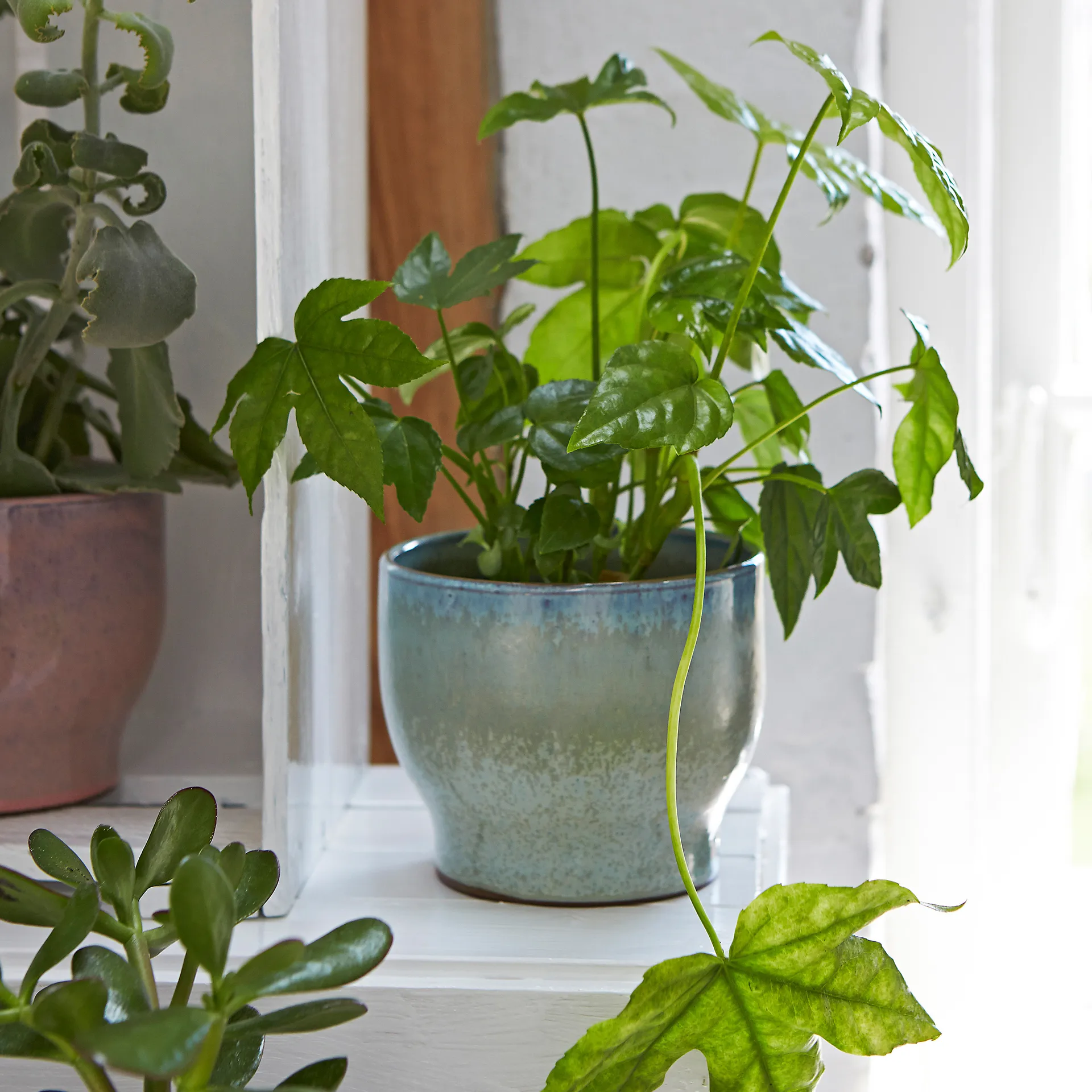 Knabstrup outdoor 花盆  Ø14.5 cm, soft 薄荷色 Knabstrup Keramik