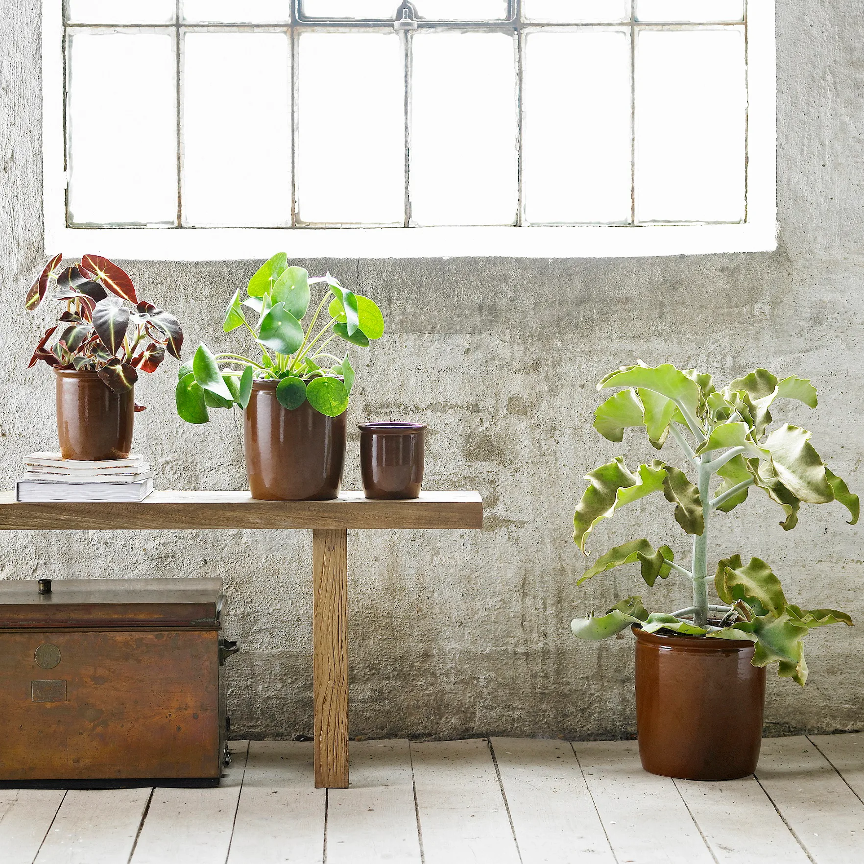 Pickle 罐子 0.5 l, 棕色 Knabstrup Keramik