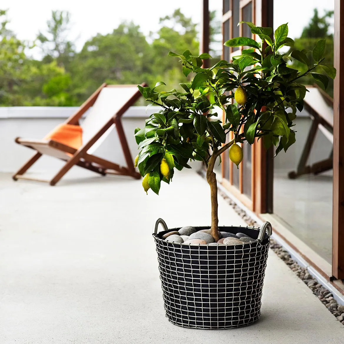 Korbo棉织种植袋 三件套装, 24 l KORBO