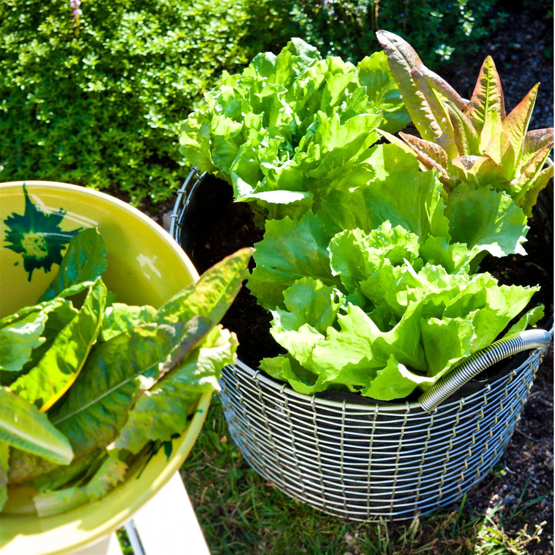 Korbo 置物篮/收纳篮 24, 镀锌钢（哑光） KORBO