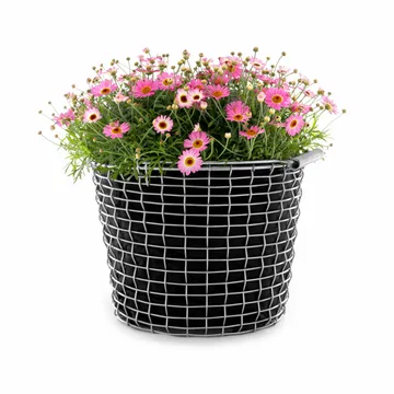 Korbo篮用种植袋 3件装 - 16升 - KORBO