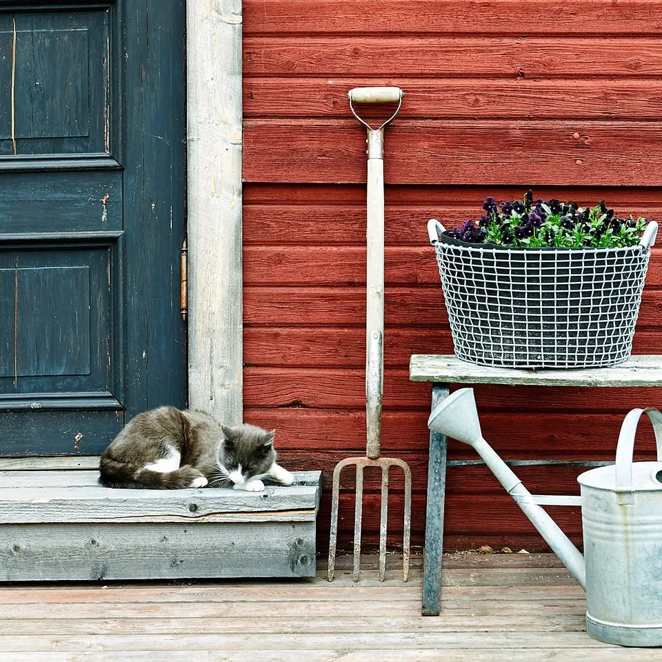 Korbo棉织种植袋 三件套装, 35 l KORBO