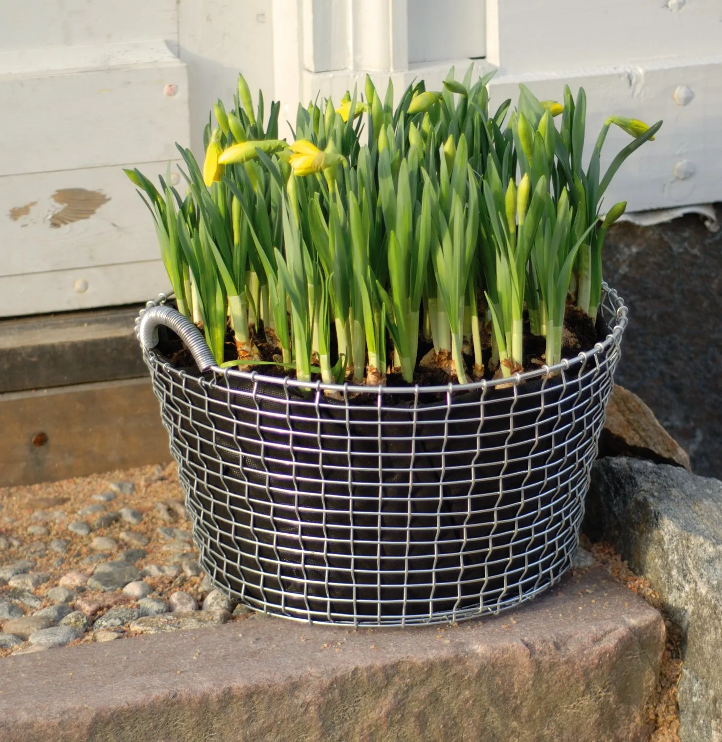 Korbo棉织种植袋 三件套装, 35 l KORBO